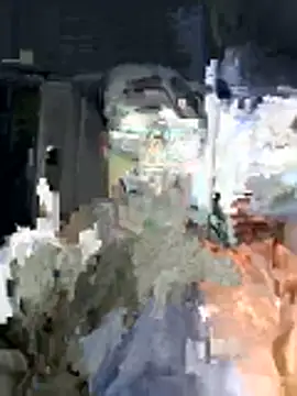 ZF-Athlete Show Webcam