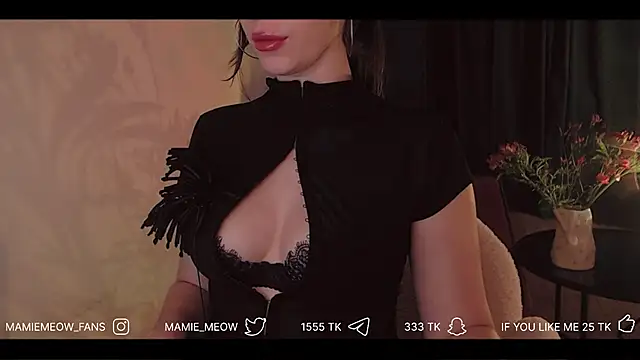 Mamiemeow: απευθείας συνομιλία ΧΧΧ