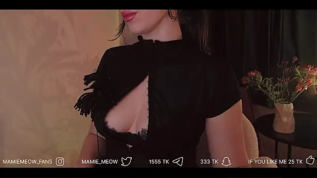 Chatroom XXX en direct de Mamiemeow