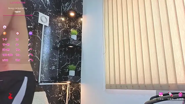 Alexander_ferren Webbikameraesitys