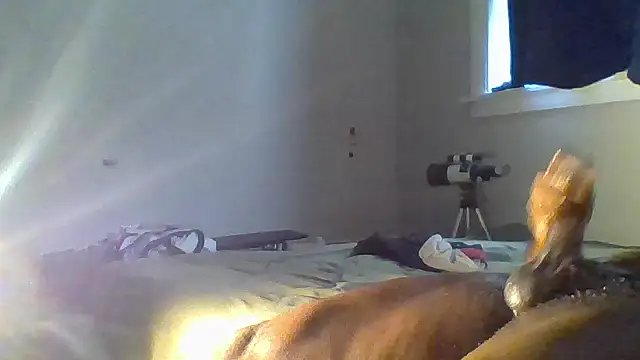 JezOne555's Webcam Show