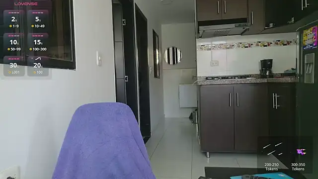 Webkamerová show grey___27