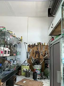 Paul22cm- webkamerás műsora