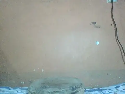 Sexyass100 – Live XXX-chat