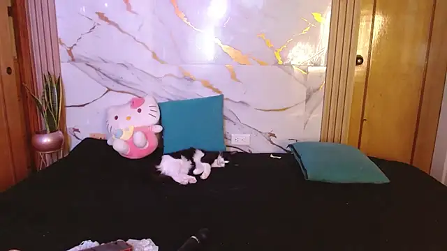 แชท XXX สดของ kittycatw