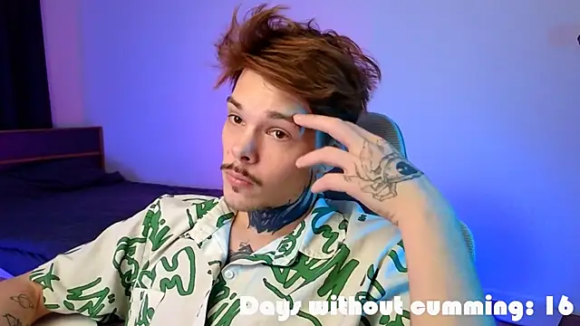 DENIS_HERE Show in webcam