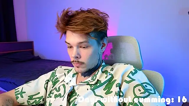 Show Webcam de DENIS_HERE