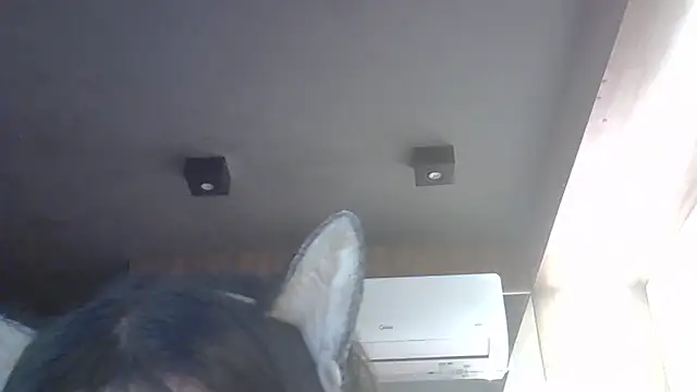 دردشة SkinnyKitten الجنسية المباشرة