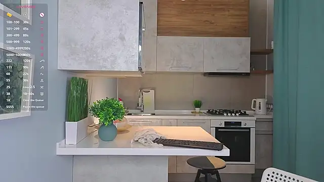 Webkamerová show MimiSlechta