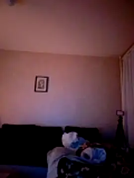 Power_Art Show in webcam