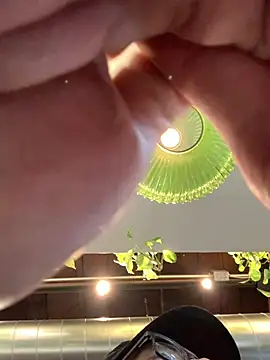 hailzeffn Chat XXX in diretta