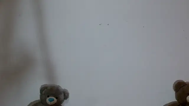 karolsweetvagi's Live XXX Chat