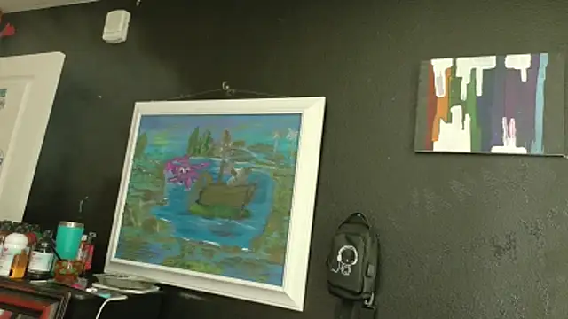 Show Webcam de AQuickPhyx