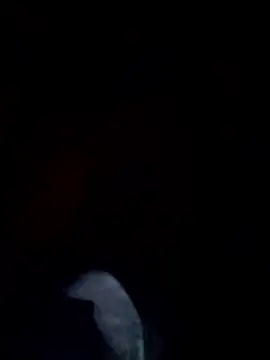 kalara_kail Adlı Modelin Canlı XXX Sohbeti