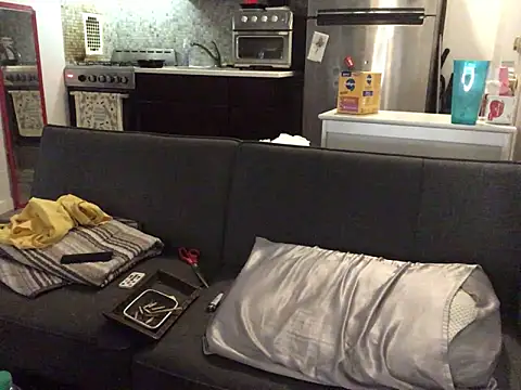 Show webcam de littyleesh1