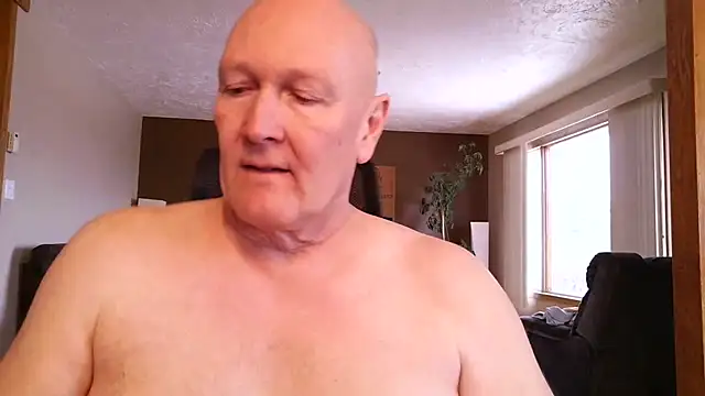 BasicAnt Show in webcam