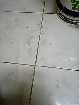 ConvoyedSubgroup Show Webcam