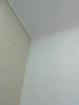 theferreira13 webcam show