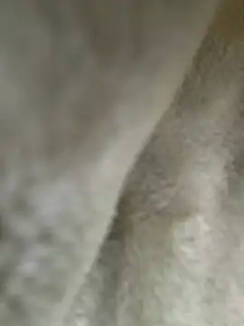 Czat XXX na żywo – Kitty2490