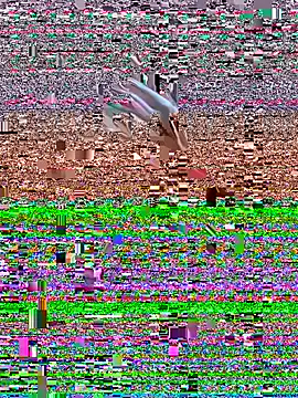 joeystaciee's Webcam Show