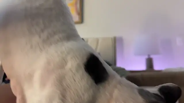 Graciemae_baexx Adlı Modelin Canlı XXX Sohbeti