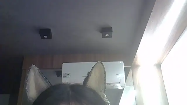 SkinnyKitten's Webcam Show