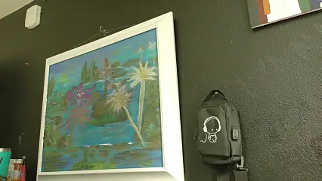 عرض كام AQuickPhyx