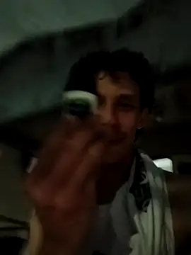 Show de webcam de novin99