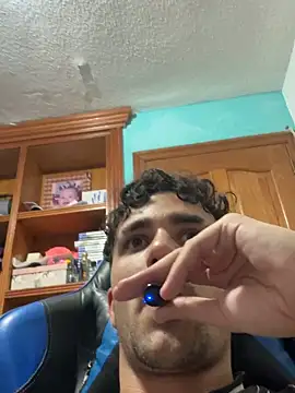 aavrdvh33 웹캠 쇼