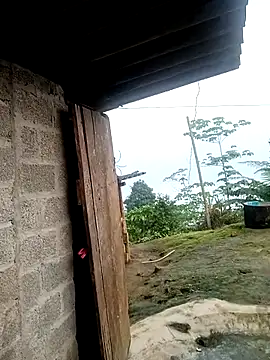 Chat XXX ao vivo de kalara_kail