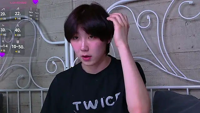 Show de webcam de HeejinWang