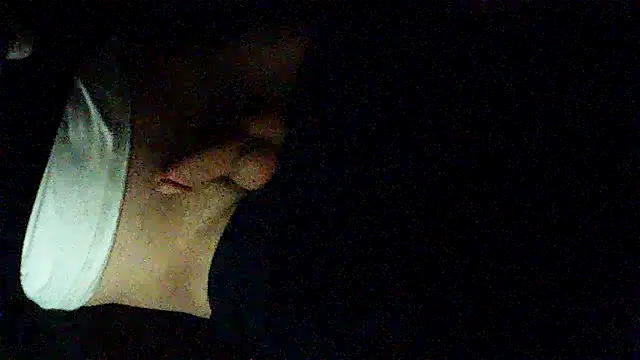 Meistro30n Webbikameraesitys