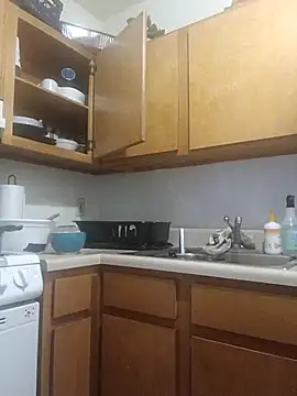 Chatroom XXX en direct de ReallyReallyReal