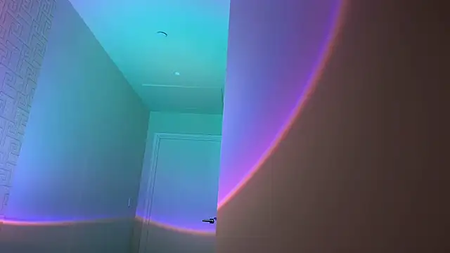 _vixenp: διαδικτυακό σόου στην κάμερα