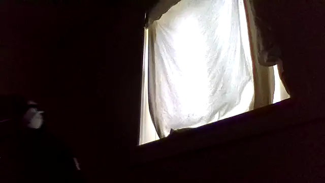 dvaughn3117 Webcam-Show