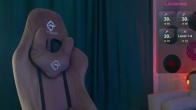 DebugMee's Webcam Show