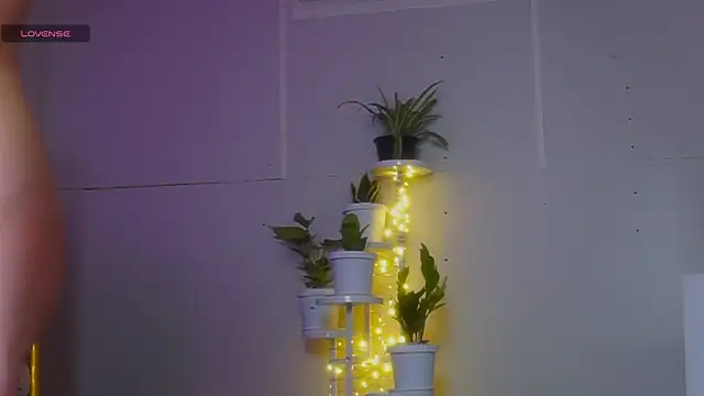 laybunny1 Obrolan Langsung XXX