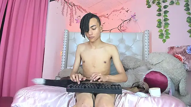 romeo_laurientn Webbikameraesitys