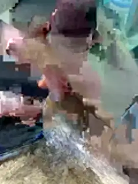 Show webcam de Wassimdz410