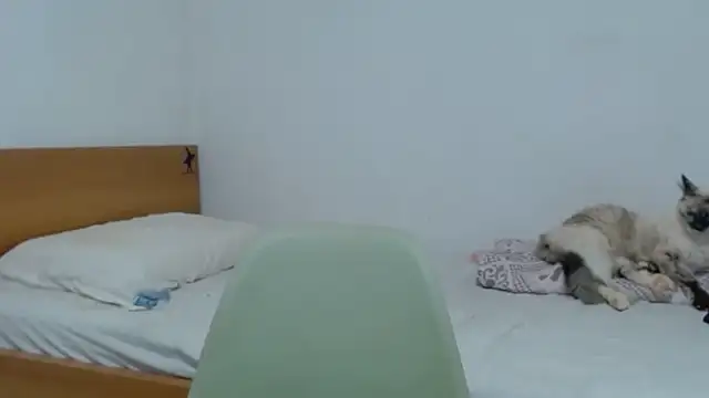 milf-sol Webcam-Show