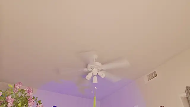 Chat XXX ao vivo de Talulaa