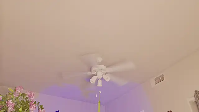 Talulaa webkamerás műsora