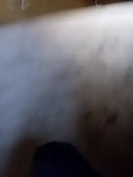 Vrmorbozo webcam show