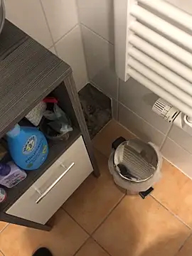 Spielzeugtwinkのウェブカメラショー