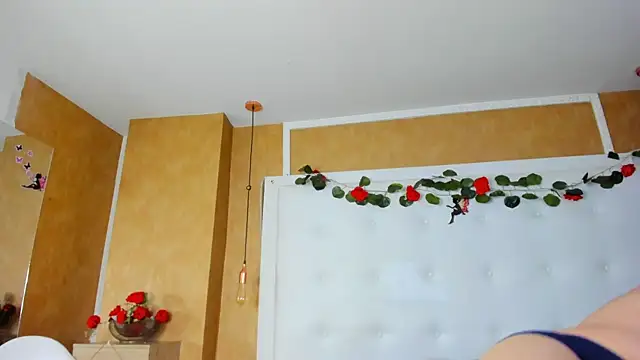 Chatroom XXX en direct de Heidy_milf