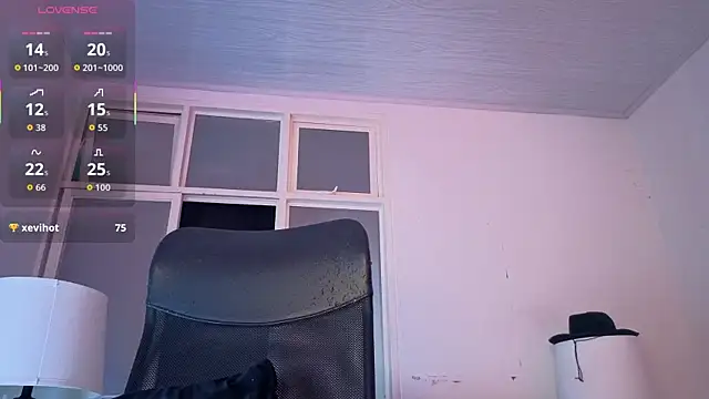 JuanCamiilo_66n Webbikameraesitys