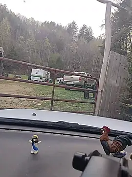 Biknight: διαδικτυακό σόου στην κάμερα