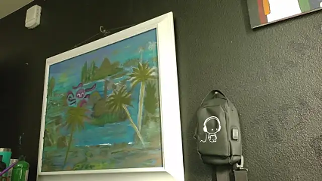 Show de webcam de AQuickPhyx