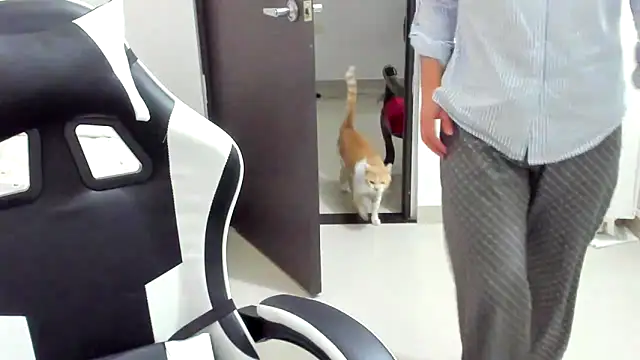 __Emma__11__Lecat_'s Live XXX Chat