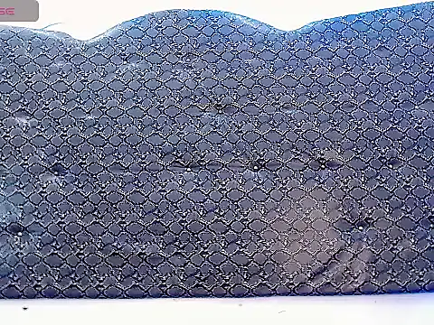 Show webcam de Salome_bichtxx